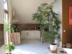 Taucha G�stewohnung Wieck : K�che